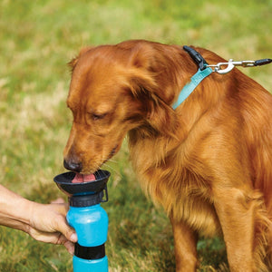 Doggy Bottle - dog lovers